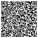 QR code with A N Nail Salon contacts