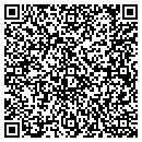 QR code with Premier Pools & Spa contacts