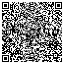 QR code with Boulevard Properties contacts