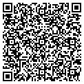 QR code with Balega contacts