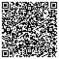 QR code with Window Tinting contacts
