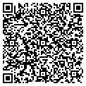 QR code with N Line contacts