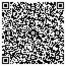 QR code with PPG Industries Inc contacts