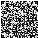 QR code with Pyramid Real Estate contacts
