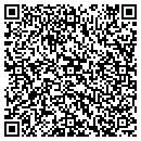QR code with Provision Co contacts