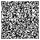 QR code with Pulse Corp contacts