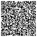QR code with Clear View Pools Inc contacts