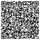 QR code with Purr-Fect Stitches contacts