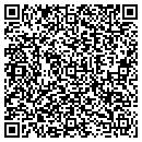 QR code with Custom Clean Ceilings contacts