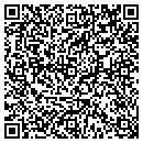 QR code with Premiere P C's contacts