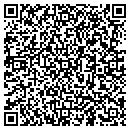 QR code with Custom Polymers Inc contacts