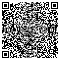 QR code with Ossi contacts