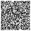 QR code with City Lake Food Mart contacts