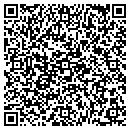 QR code with Pyramid Paints contacts