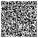 QR code with Purofirst contacts