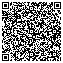 QR code with Premier Tool Corp contacts