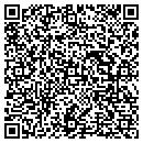 QR code with Profero Systems Inc contacts