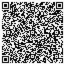 QR code with Providea Corp contacts
