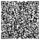 QR code with Cyger Technologies Inc contacts
