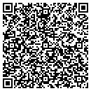 QR code with Protel Consulting contacts