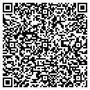 QR code with Purse Onality contacts