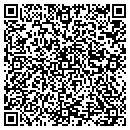 QR code with Custom Polymers Inc contacts