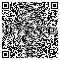 QR code with Patina contacts
