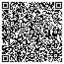 QR code with Precision Scenic Inc contacts