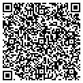 QR code with Pier 1 contacts