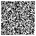 QR code with P Tct contacts