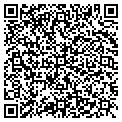 QR code with New Testament contacts