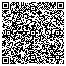 QR code with Puffy Pillow Factory contacts