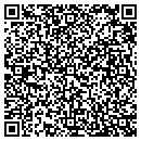 QR code with Carter's Auto World contacts