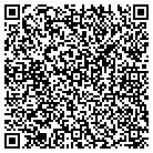 QR code with Brians Custom Tint Shop contacts
