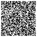 QR code with C D Howell & Sons Inc contacts