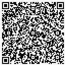 QR code with Premiere P C's contacts