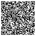 QR code with K Line contacts