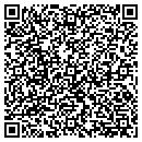 QR code with Pulau Electronics Corp contacts