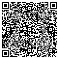 QR code with Gavin contacts