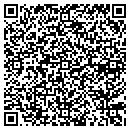 QR code with Premier Pools & Spas contacts