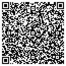 QR code with Progress Telecom LLC contacts