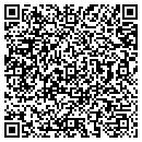 QR code with Public Works contacts