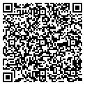 QR code with TN Tlawn Service LLC contacts
