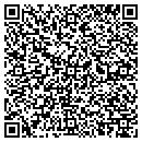 QR code with Cobra Transportation contacts