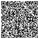 QR code with Pro Siding & Windows contacts