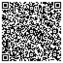 QR code with Public Storage contacts