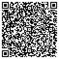 QR code with Amway contacts