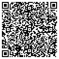 QR code with Vivid 4 contacts