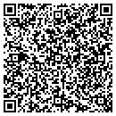 QR code with Professional Auto Clean contacts