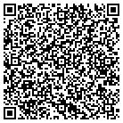 QR code with Brian Scott Consulting contacts